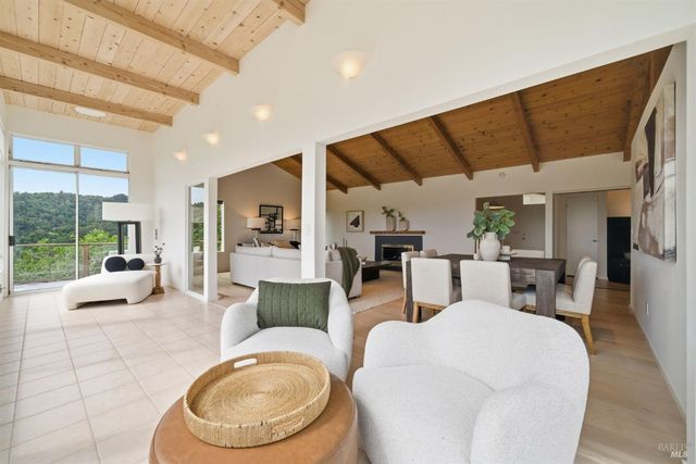 41 Magdalena Ct, Mill Valley, CA 94941