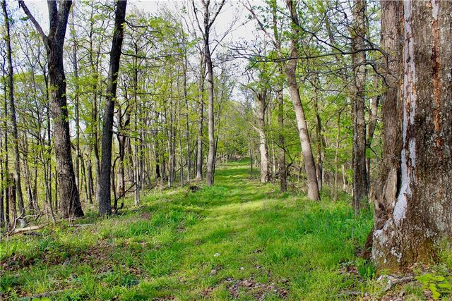 20980 Highway 62, Eureka Springs, AR 72631
