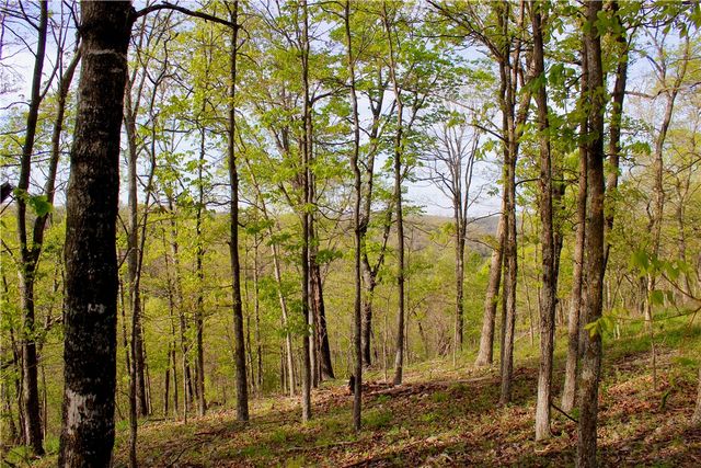 20980 Highway 62, Eureka Springs, AR 72631