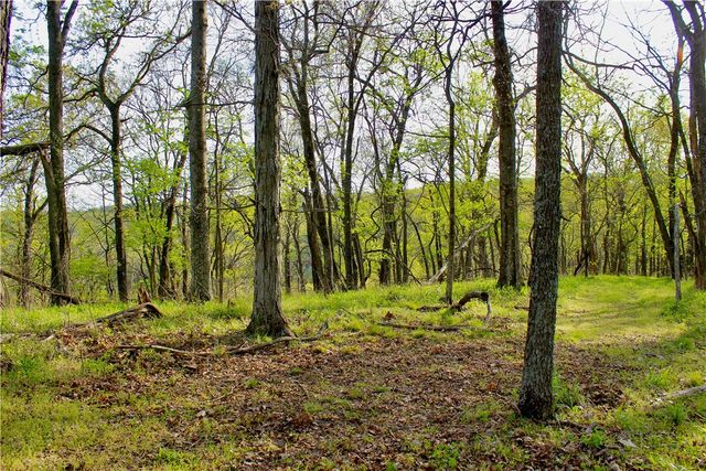 20980 Highway 62, Eureka Springs, AR 72631