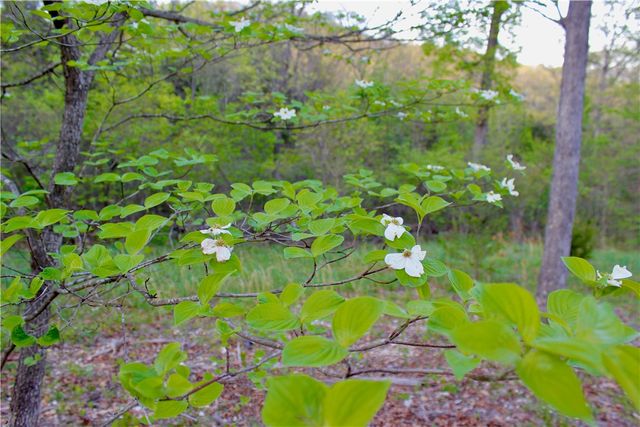20980 Highway 62, Eureka Springs, AR 72631