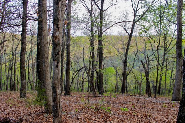 20980 Highway 62, Eureka Springs, AR 72631