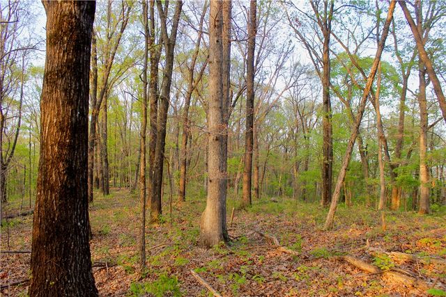 20980 Highway 62, Eureka Springs, AR 72631