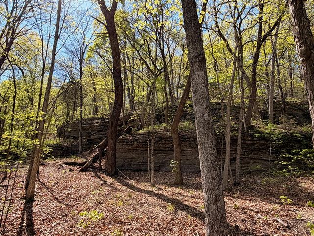 20980 Highway 62, Eureka Springs, AR 72631