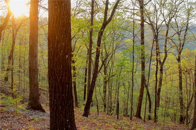 20980 Highway 62, Eureka Springs, AR 72631