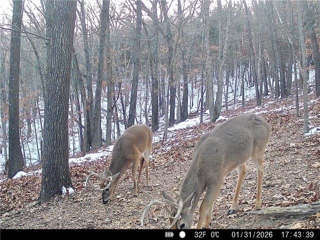 20980 Highway 62, Eureka Springs, AR 72631