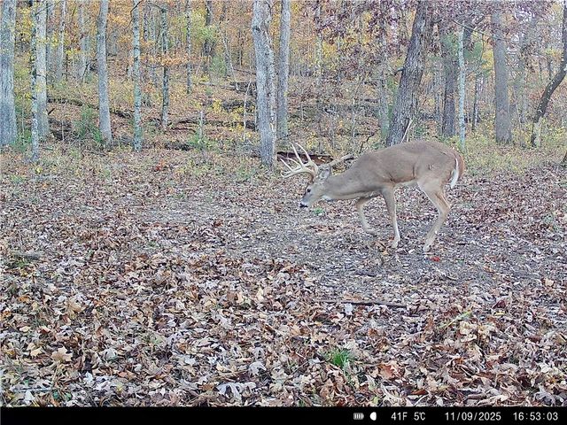 20980 Highway 62, Eureka Springs, AR 72631