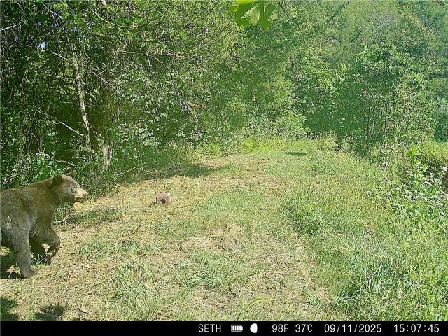 20980 Highway 62, Eureka Springs, AR 72631