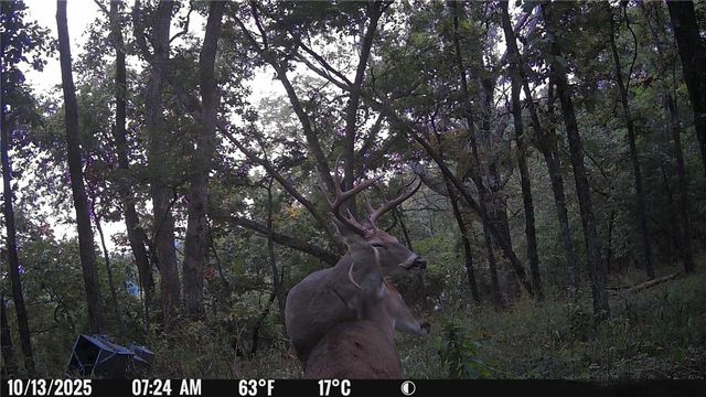 20980 Highway 62, Eureka Springs, AR 72631