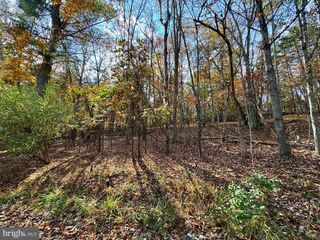 WHITETAIL DR #LOT 33, Berkeley Springs, WV 25411