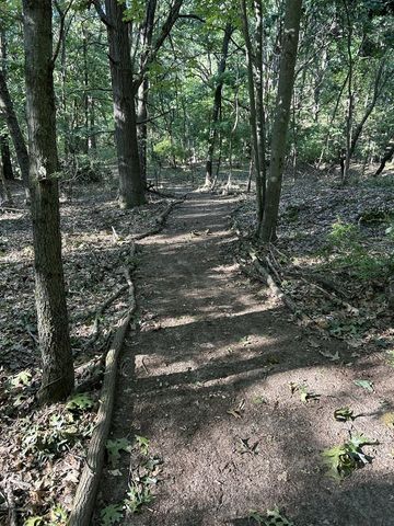 1847 Aberdeen Street, Grand Rapids, MI 49505