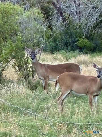 170 County Road 505, Goldthwaite, TX 76844