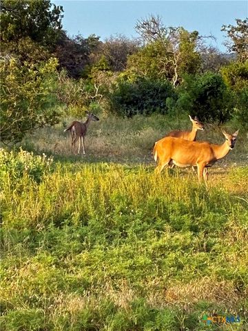 170 County Road 505, Goldthwaite, TX 76844