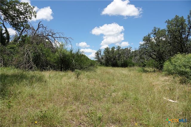 170 County Road 505, Goldthwaite, TX 76844