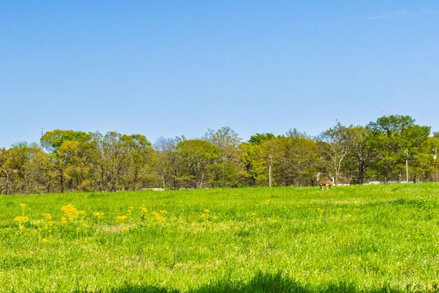 1285 County Road 1540, Alba, TX 75410