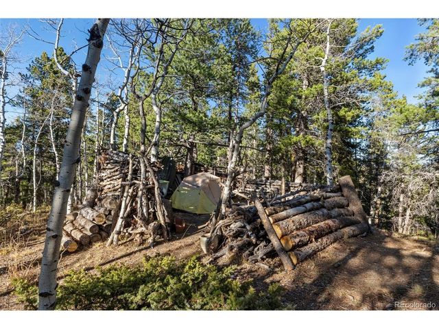 0 Severance Lodge Rd, Black Hawk, CO 80422
