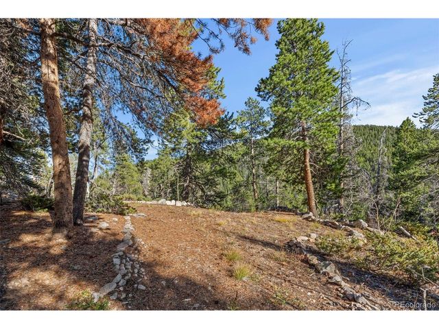 0 Severance Lodge Rd, Black Hawk, CO 80422