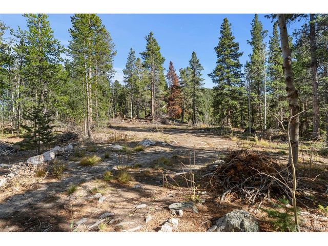 0 Severance Lodge Rd, Black Hawk, CO 80422
