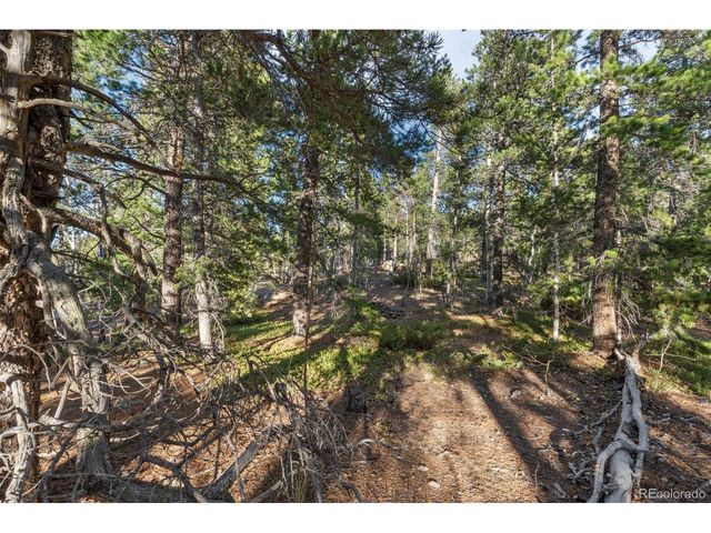 0 Severance Lodge Rd, Black Hawk, CO 80422