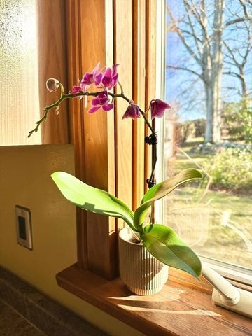 220 Parkland Avenue, Lynn, MA 01905