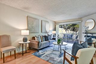 377 Mandarin Drive 204, Daly City, CA 94015