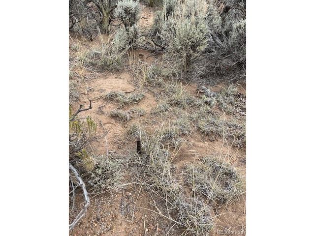 3034 Saudir Rd, Fort Garland, CO 81133