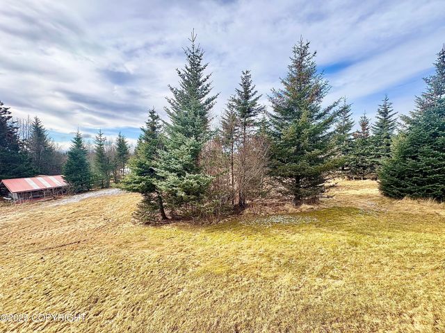 4735 Tamara Street, Homer, AK 99603