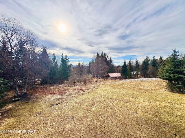 4735 Tamara Street, Homer, AK 99603