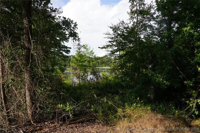 LOT 6 Lakeview Drive, Red Springs, NC 28377