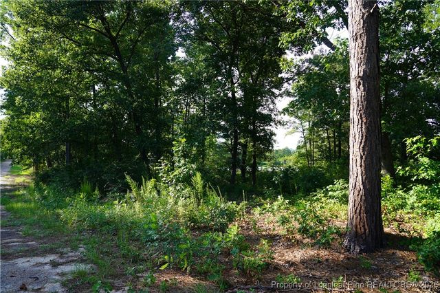 LOT 6 Lakeview Drive, Red Springs, NC 28377