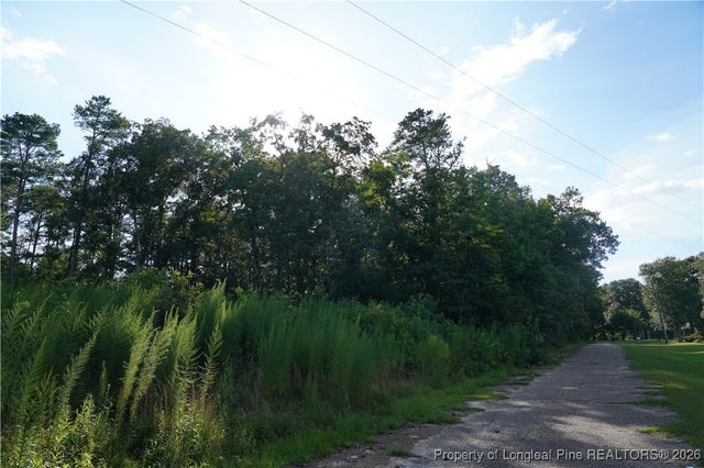 LOT 6 Lakeview Drive, Red Springs, NC 28377