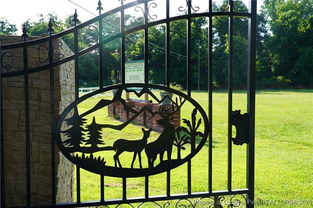 LOT 6 Lakeview Drive, Red Springs, NC 28377