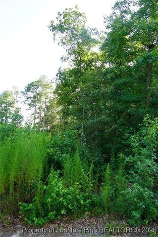 LOT 6 Lakeview Drive, Red Springs, NC 28377