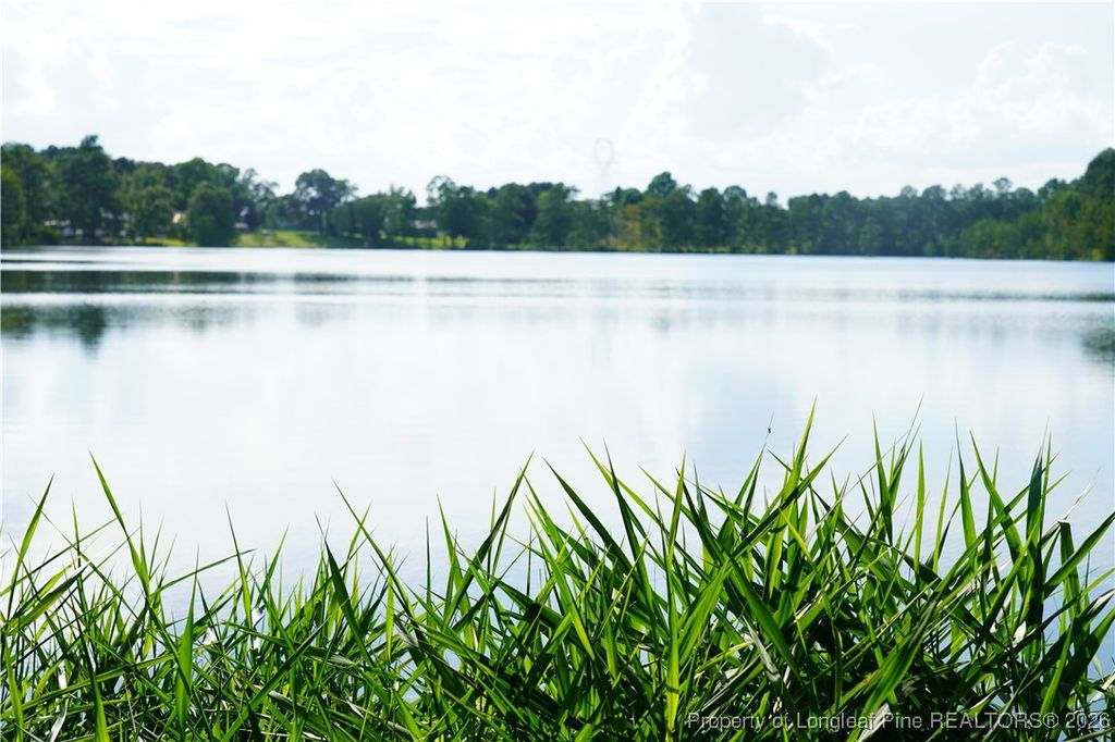 LOT 6 Lakeview Drive, Red Springs, NC 28377 — photo 10