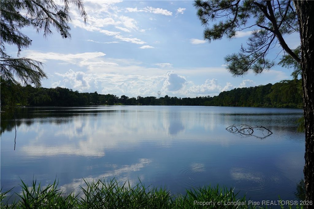 LOT 6 Lakeview Drive, Red Springs, NC 28377 — photo 4