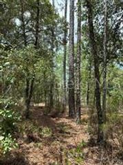 001 NE 110TH AVENUE, Williston, FL 32696