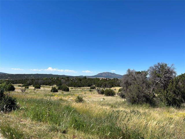 147 Cowboy Way, Edgewood, NM 87015