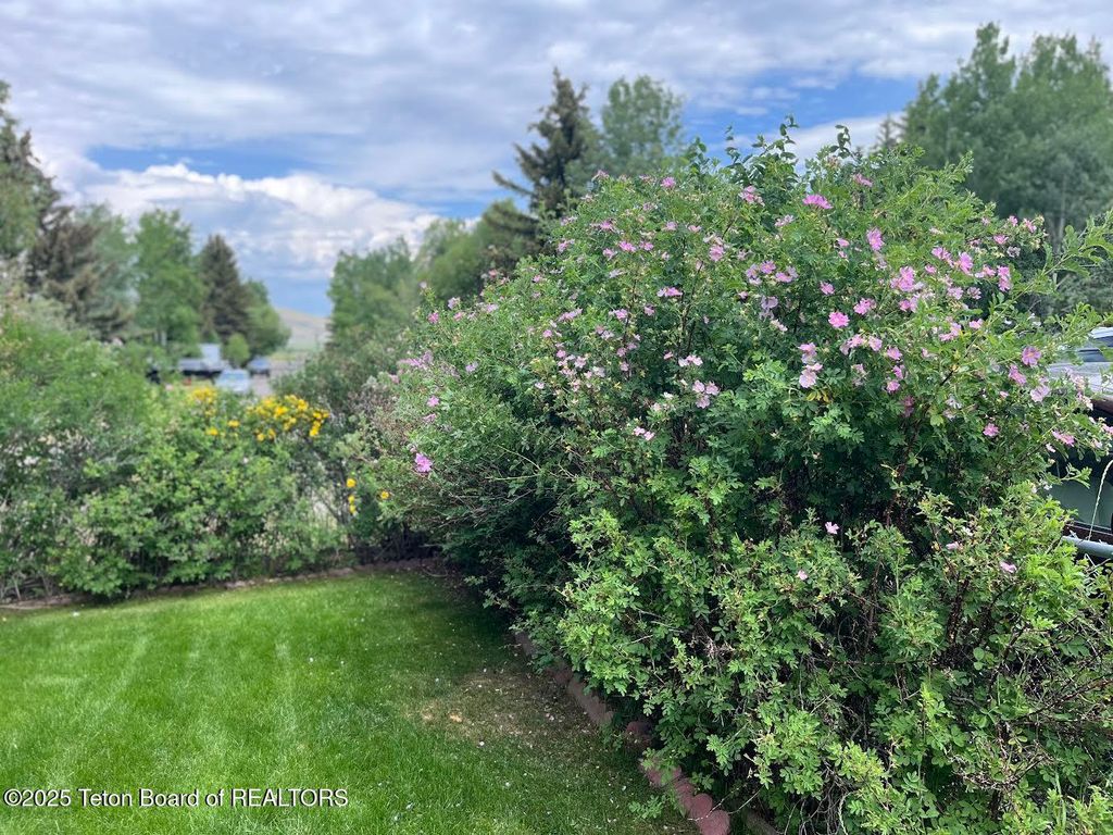 700 E PEARL Avenue, Jackson, WY 83001 photo 36