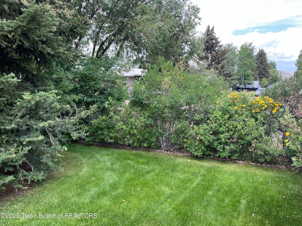700 E PEARL Avenue, Jackson, WY 83001 photo 37