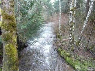 46212 E 162nd Avenue, Eatonville, WA 98328