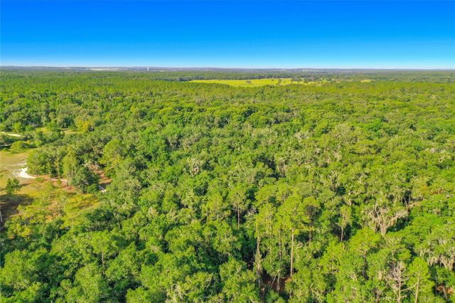 33099 CORAL ROCK DRIVE, Webster, FL 33597