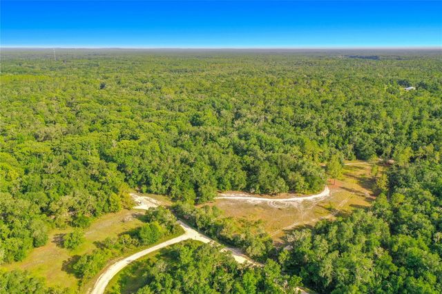 33099 CORAL ROCK DRIVE, Webster, FL 33597