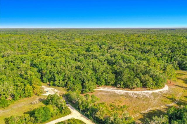 33099 CORAL ROCK DRIVE, Webster, FL 33597