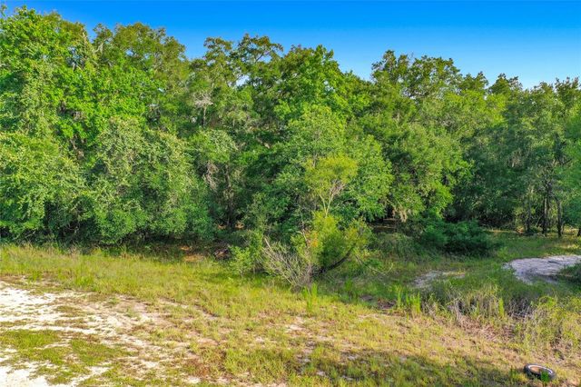 33099 CORAL ROCK DRIVE, Webster, FL 33597