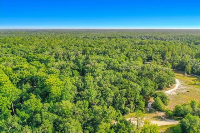 33099 CORAL ROCK DRIVE, Webster, FL 33597