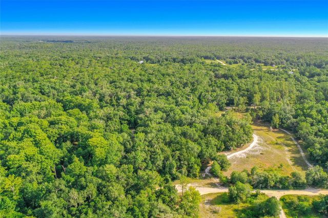 33099 CORAL ROCK DRIVE, Webster, FL 33597