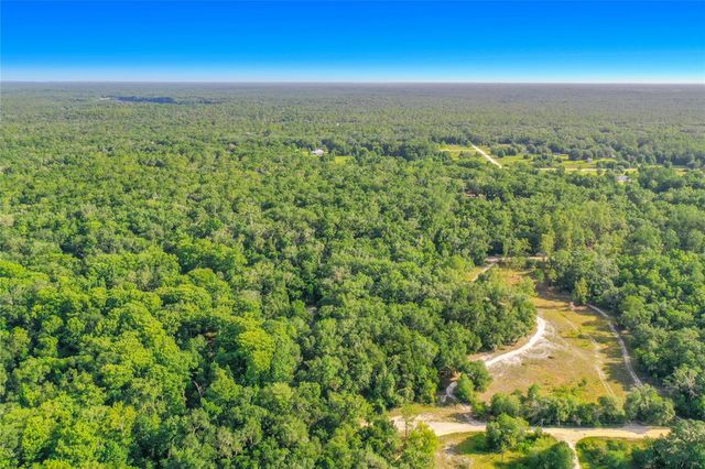 33099 CORAL ROCK DRIVE, Webster, FL 33597