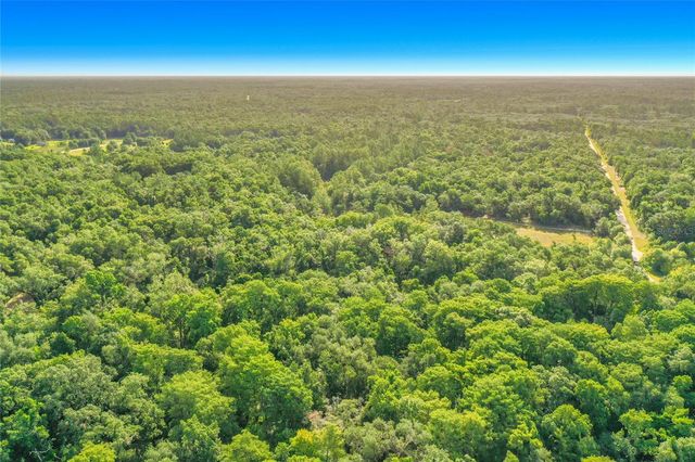 33099 CORAL ROCK DRIVE, Webster, FL 33597