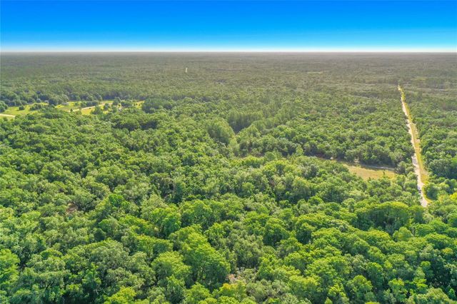33099 CORAL ROCK DRIVE, Webster, FL 33597