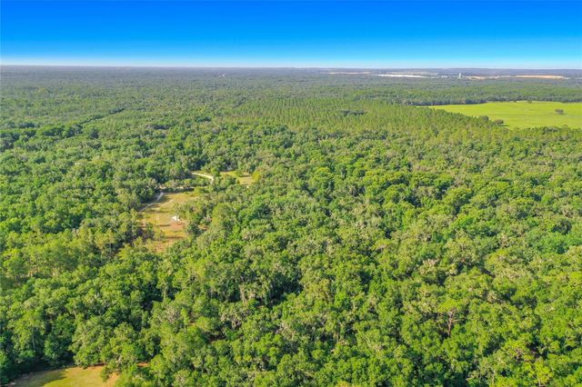 33099 CORAL ROCK DRIVE, Webster, FL 33597